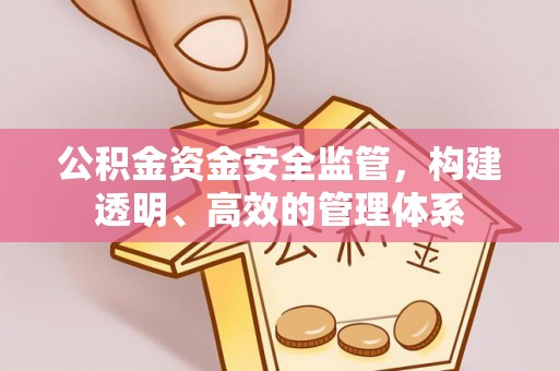 宁陵公积金资金安全监管，构建透明、高效的管理体系